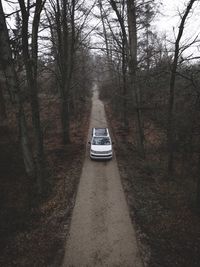 Car on road amidst bare trees in forest
