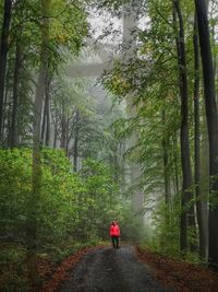 Smiling man standing in forest during rainy season