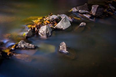 High angle view of rocks in sea at night