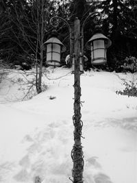 Bare trees on snow covered landscape during winter
