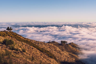 Scenic view of mountains against sky during sunset - madeira island 