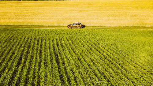 View of agricultural field