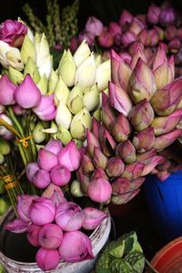 Close-up of flowers for sale in market