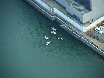 Aerial view of people paddleboarding on river