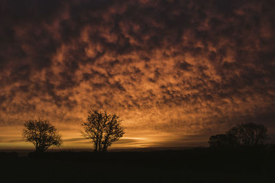 Silhouette trees on landscape against sunset sky