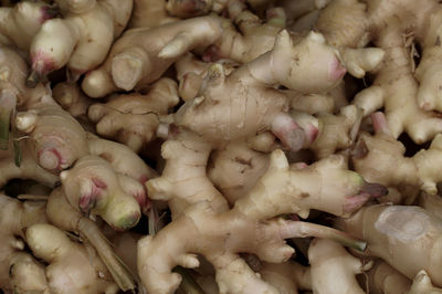 Full frame shot of chopped vegetables for sale in market