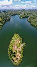 High angle view of plants in lake