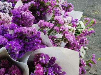 High angle view of pink flowering plant