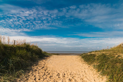 Scenic view of beach against blue sky