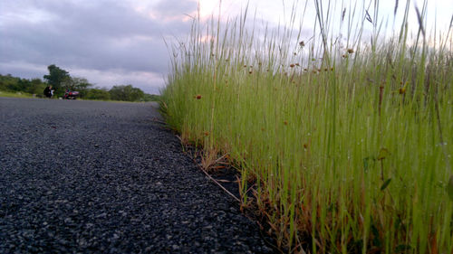 Scenic view of landscape against cloudy sky