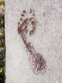 Full frame shot of tree