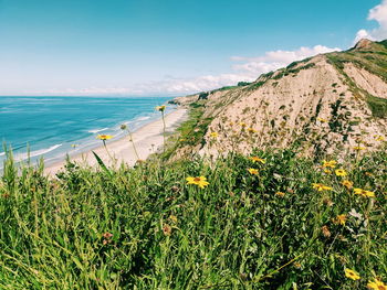 The view from ontop the cliffs above blacks beach