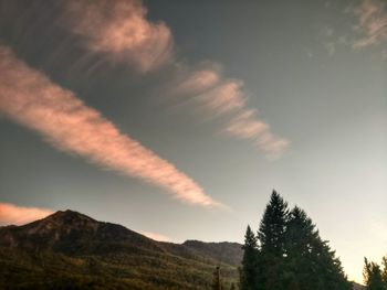 Low angle view of tree mountain against sky