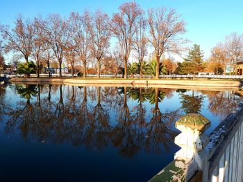 Reflection of trees in lake against sky