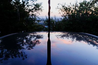 Reflection of trees in water