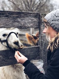 Smiling woman feeding llama during winter