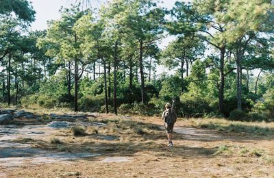 Man walking in forest