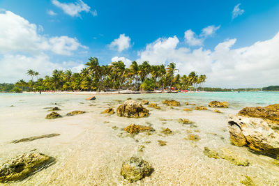 Scenic view of beach against sky