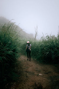 Rear view of man walking on field against sky