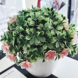 Close-up of potted plant on table