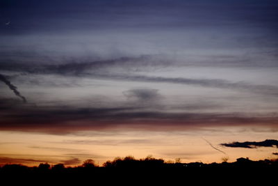 Silhouette of trees at sunset