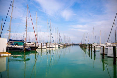 Sailboats moored in harbor