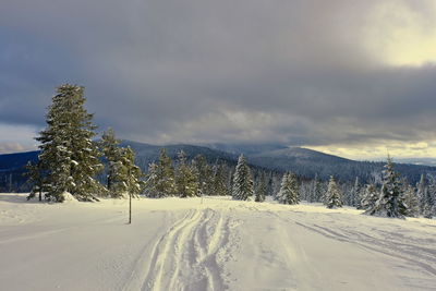 Snow covered landscape against sky