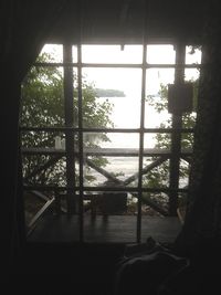 Silhouette trees seen through window