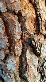 Full frame shot of stone wall