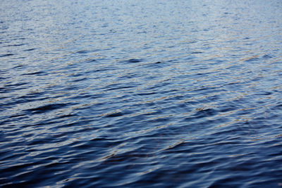 Full frame shot of swimming in lake