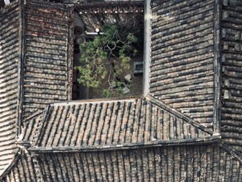 Window of old building