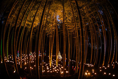 Low angle view of illuminated lights at night