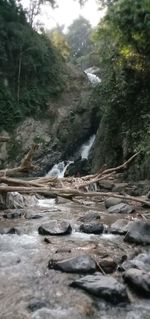 River flowing through rocks in forest