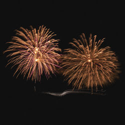 Low angle view of firework display at night