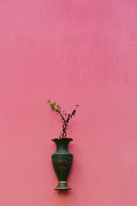 Close-up of flower vase against red wall