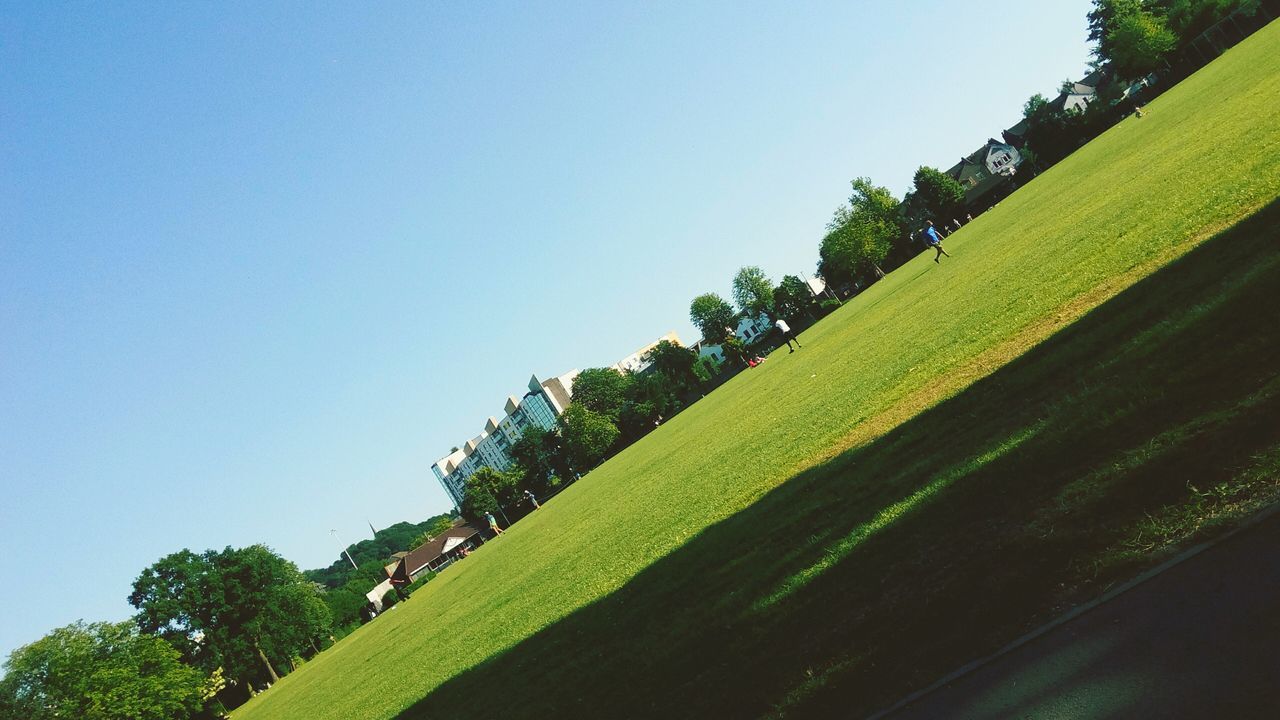 clear sky, low angle view, copy space, grass, green color, growth, tree, blue, tranquil scene, hedge, tranquility, plant, day, steps, outdoors, surrounding wall, grassy, yard, scenics, nature, beauty in nature, moving up, green, multi colored