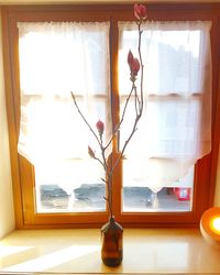 Close-up of vase on window at home