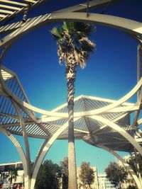 Low angle view of coconut palm trees against sky