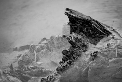 Close-up of rock on beach against sky