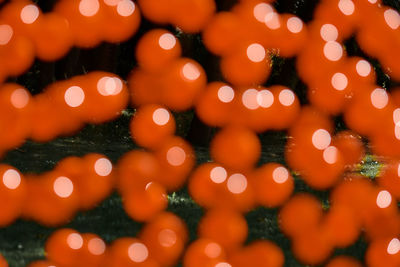 Defocused image of illuminated lights