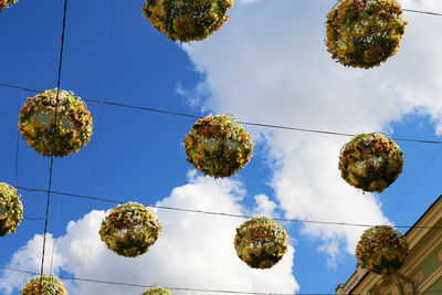 Low angle view of trees against sky