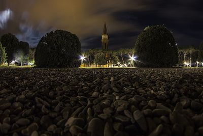 Illuminated trees against sky at night