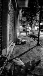 Built structure with trees in background