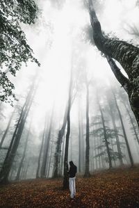 Man standing in forest