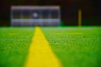 Surface level of grass court