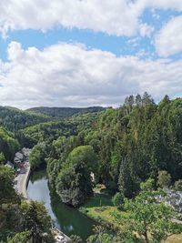 Plants growing by river against sky