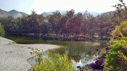Scenic view of lake by trees against sky