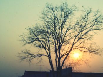 Bare trees against sky at sunset