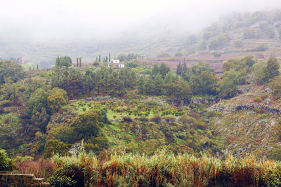 Scenic view of landscape in foggy weather