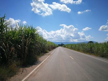 Road amidst trees against sky